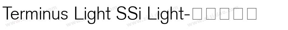 Terminus Light SSi Light字体转换